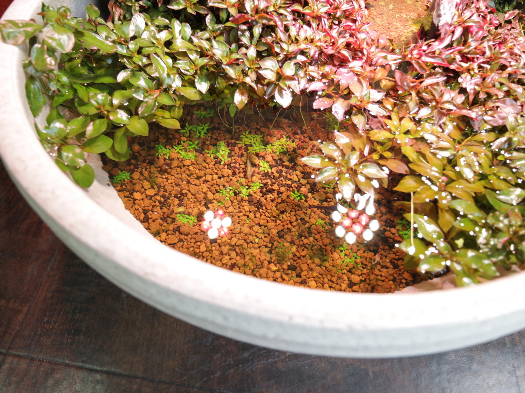 日之出不動産(株)　辻堂店