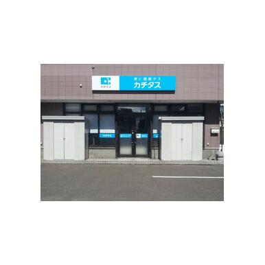 (株)カチタス　札幌店