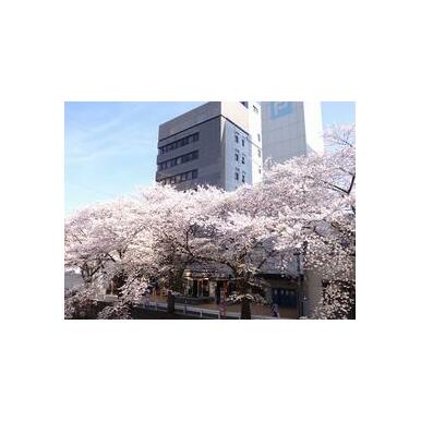 桜総合管理(株)の口コミ